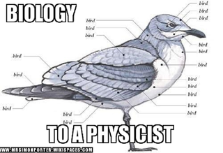 Illustration for article titled It's Tuesday, So Have Some Philosophy Jokes And Other Stuff